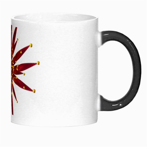 Burgundy Gold Flower Morph Mug from ArtsNow.com Right