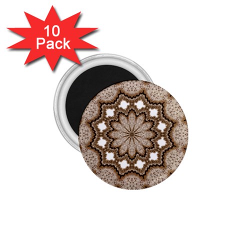 Cookie 1.75  Magnet (10 pack)  from ArtsNow.com Front