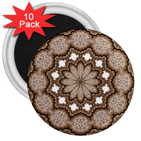 Cookie 3  Magnet (10 pack) from ArtsNow.com Front