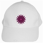 Purple Flower White Cap