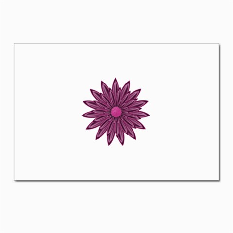 Purple Flower Postcards 5  x 7  (Pkg of 10) from ArtsNow.com Front