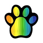 Rainbow Magnet (Paw Print)