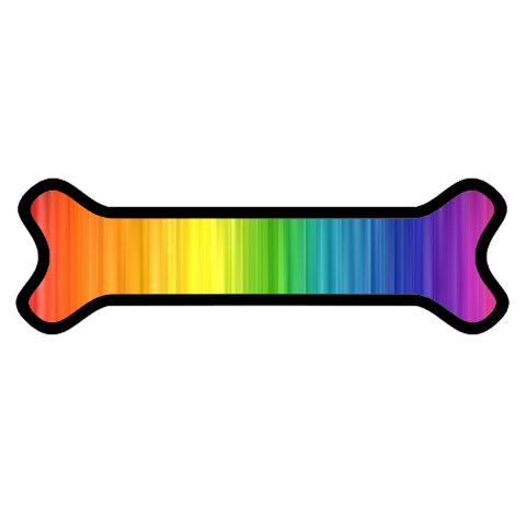 Rainbow Magnet (Dog Bone) from ArtsNow.com Front