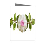 Love Flower Mini Greeting Cards (Pkg of 8)