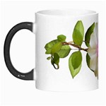 Love Flower Morph Mug