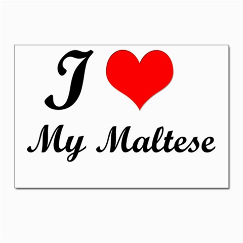 I Love My Maltese Postcard 4 x 6  (Pkg of 10) from ArtsNow.com Front