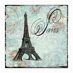 Eiffel Tower Pink Roses Pillow Square Copy Cc Glasses Cloth (Medium, Two Sides)