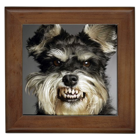 Animals Dogs Funny Dog 013643  Framed Tile from ArtsNow.com Front