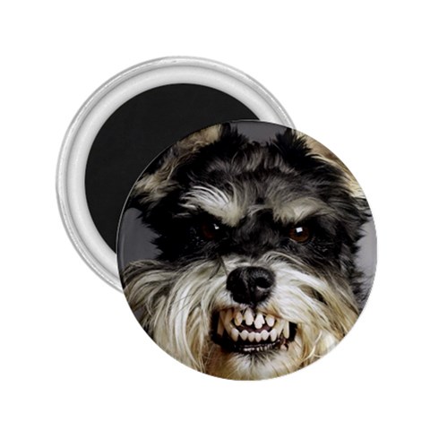 Animals Dogs Funny Dog 013643  2.25  Magnet from ArtsNow.com Front