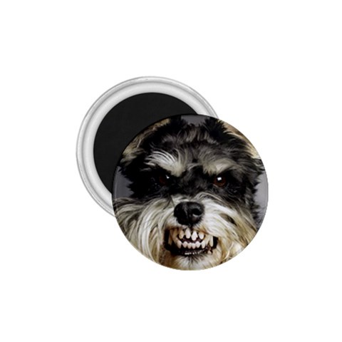 Animals Dogs Funny Dog 013643  1.75  Magnet from ArtsNow.com Front