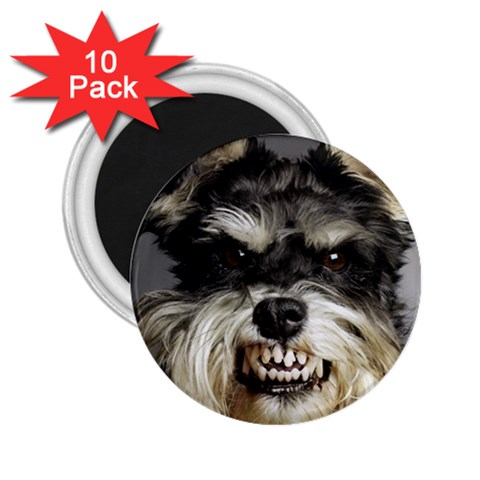 Animals Dogs Funny Dog 013643  2.25  Magnet (10 pack) from ArtsNow.com Front