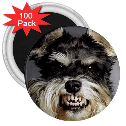 Animals Dogs Funny Dog 013643  3  Magnet (100 pack) from ArtsNow.com Front