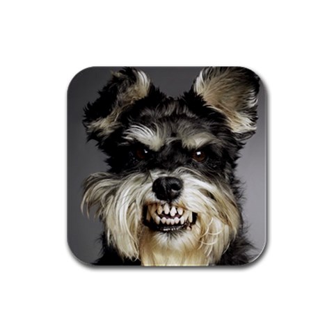 Animals Dogs Funny Dog 013643  Rubber Square Coaster (4 pack) from ArtsNow.com Front