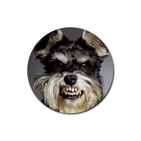 Animals Dogs Funny Dog 013643  Rubber Round Coaster (4 pack) from ArtsNow.com Front