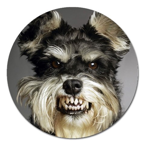 Animals Dogs Funny Dog 013643  Magnet 5  (Round) from ArtsNow.com Front