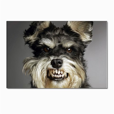 Animals Dogs Funny Dog 013643  Postcard 4 x 6  (Pkg of 10) from ArtsNow.com Front