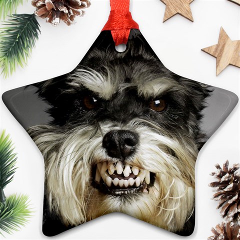 Animals Dogs Funny Dog 013643  Star Ornament (Two Sides) from ArtsNow.com Front