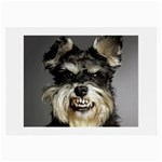 Animals Dogs Funny Dog 013643  Glasses Cloth (Large)