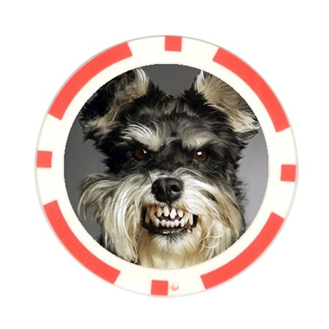 Animals Dogs Funny Dog 013643  Poker Chip Card Guard from ArtsNow.com Front