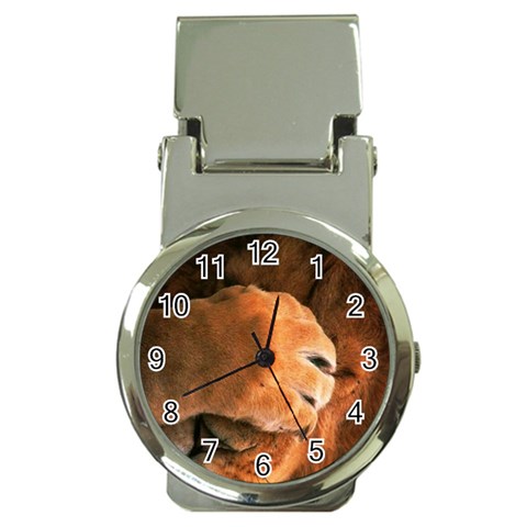 Animal Wallpapers 0028 Money Clip Watch from ArtsNow.com Front