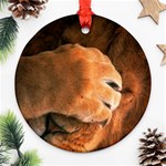 Animal Wallpapers 0028 Round Ornament (Two Sides)