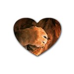 Animal Wallpapers 0028 Heart Coaster (4 pack)