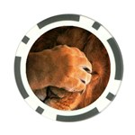 Animal Wallpapers 0028 Poker Chip Card Guard