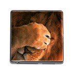 Animal Wallpapers 0028 Memory Card Reader with Storage (Square)