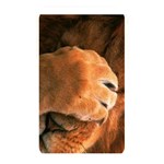 Animal Wallpapers 0028 Memory Card Reader (Rectangular)