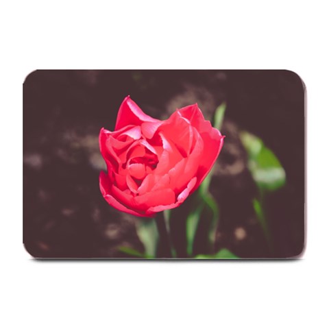 Red flower Plate Mat from ArtsNow.com 18 x12  Plate Mat