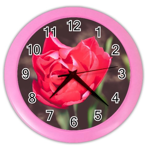 Red flower Color Wall Clock from ArtsNow.com Front