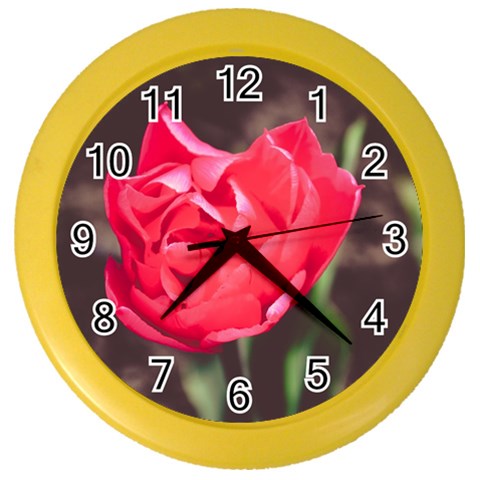 Red flower Color Wall Clock from ArtsNow.com Front