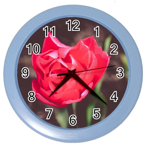 Red flower Color Wall Clock from ArtsNow.com Front