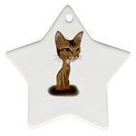 Aby Caricature Ornament (Star)