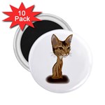 Aby Caricature 2.25  Magnet (10 pack)