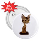 Aby Caricature 2.25  Button (100 pack)