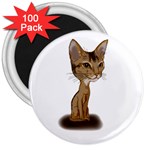 Aby Caricature 3  Magnet (100 pack)