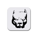 Pitbull  Rubber Coaster (Square)