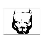 Pitbull  Sticker A4 (10 pack)