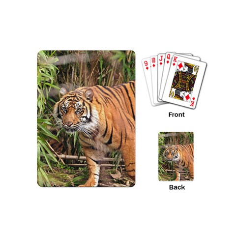 Tiger 1 Playing Cards (Mini) from ArtsNow.com Back