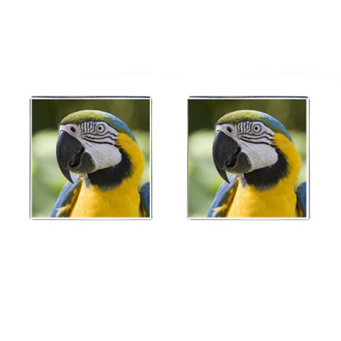 Parrot Cufflinks (Square) from ArtsNow.com Front(Pair)