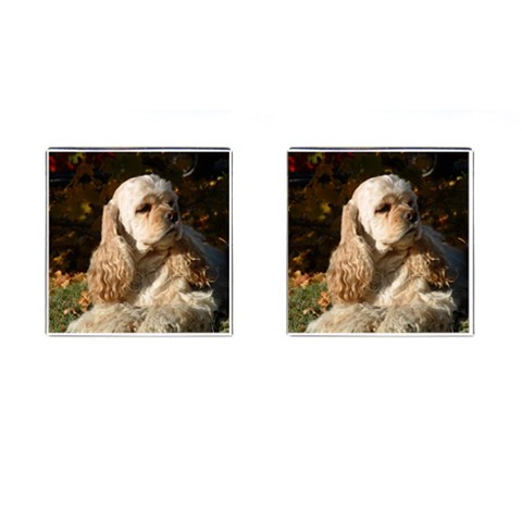 Cocker Spaniel Dog Cufflinks (Square) from ArtsNow.com Front(Pair)