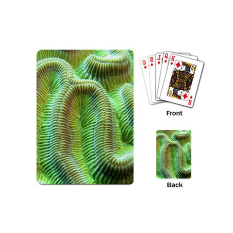 Brain Coral Playing Cards (Mini) from ArtsNow.com Back