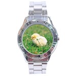 Eesign0227 Stainless Steel Watch