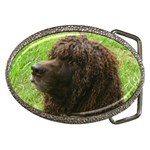 Irish Water Spaniel Dog Belt Buckle