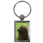 Irish Water Spaniel Dog Key Chain (Rectangle)