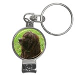 Irish Water Spaniel Dog Nail Clippers Key Chain