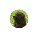 Irish Water Spaniel Dog Golf Ball Marker