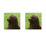 Irish Water Spaniel Dog Cufflinks (Square)