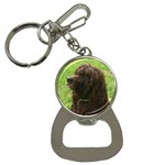 Irish Water Spaniel Dog Bottle Opener Key Chain